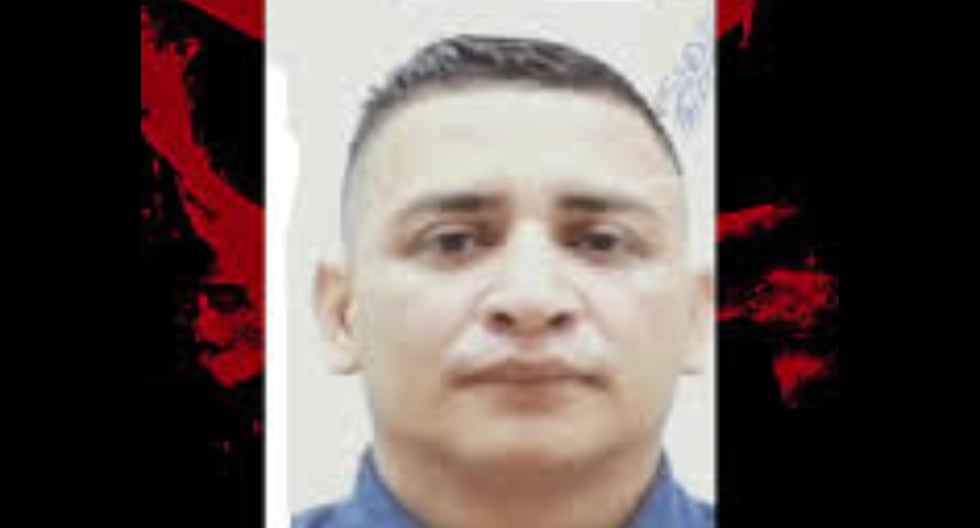Los Lobos | Ecuador | Flavio Leonardo Briones: un líder de la banda criminal, asesinado con su compañero y dos ex -militar | Manta | Manabí | San Mateo | Eder Plúas Vargas | Montecristi | Jaramijó | Daniel NOVOA | Último | MUNDO

 – El diario andino
