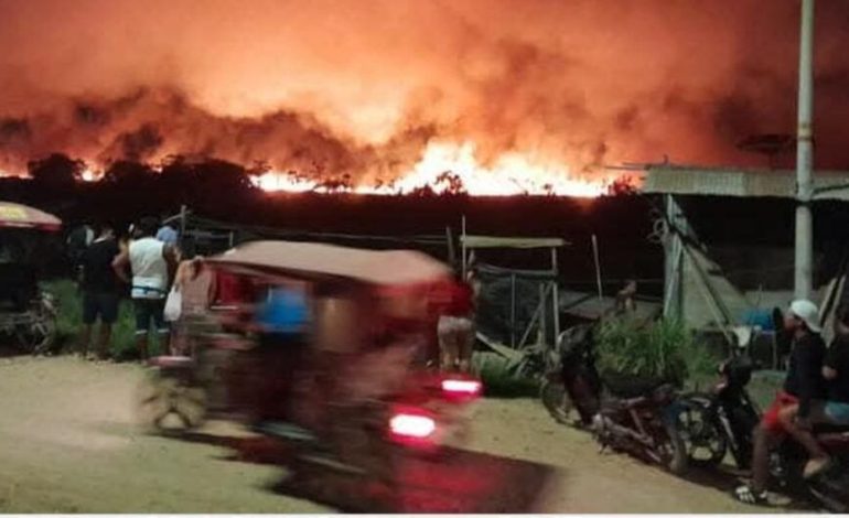 Ucayali: El gran fuego forestal progresa sin control en Manantay | Último | PERÚ
– El diario andino