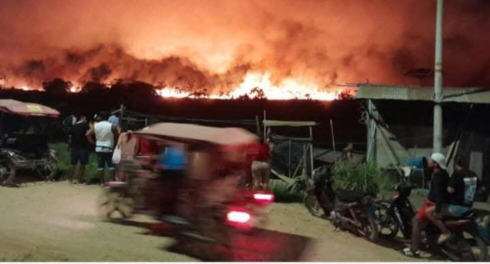 Ucayali: El gran fuego forestal progresa sin control en Manantay | Último | PERÚ

 – El diario andino