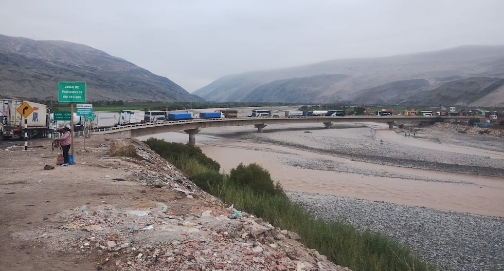 Bloqueo de la manera para los mineros informales: ¿qué implican estas protestas y cómo afectan las transferencias minerales? CAL

 – El diario andino