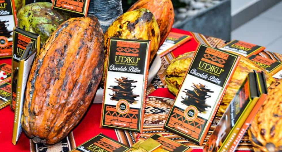 Perú y Suiza destacan los logros en la mejora de la designación del origen del «Cocoa Amazonas Perú» | Último | PERÚ

 – El diario andino