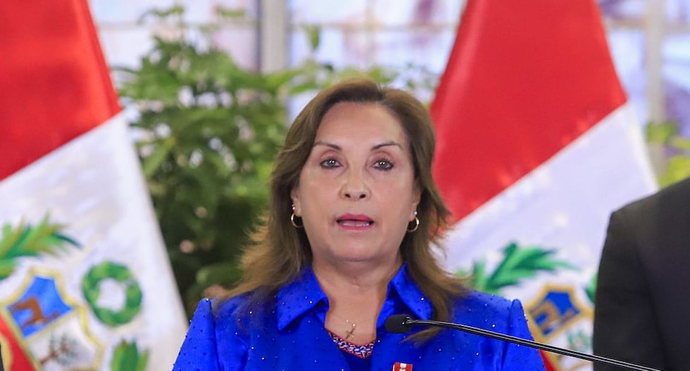 Dina Boluarte: «Necesitamos el entorno de paz y unidades, no la violencia que se fomenta por intereses políticos, ideológicos o especiales» | Citación

 – El diario andino