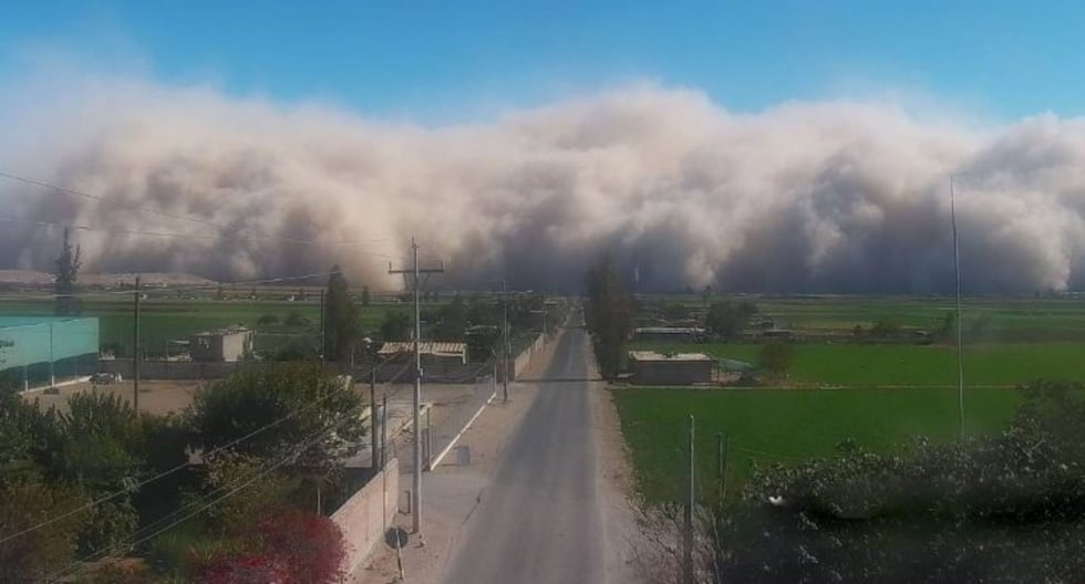 Tormentas y vientos extremos: ¿Qué hacer si tengo un seguro agrícola y he sufrido pérdidas? | PERÚ

 – El diario andino