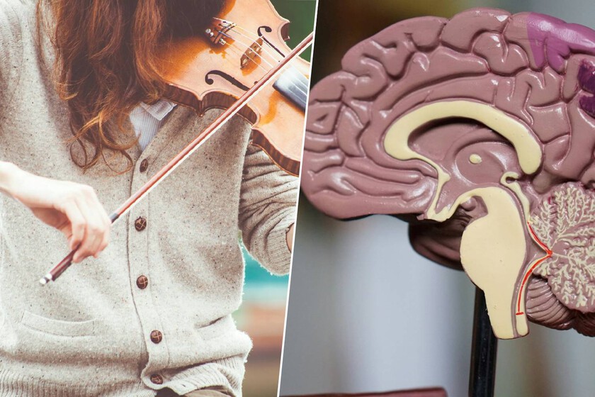 Un ‘cortocircuito’ en el cerebro

 – El diario andino