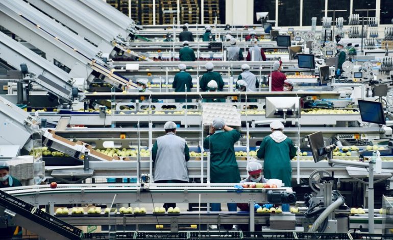 La industria alimentaria vive su caída de precios más alta desde 2014. Hay un sospechoso claro: las marcas blancas

 – El diario andino