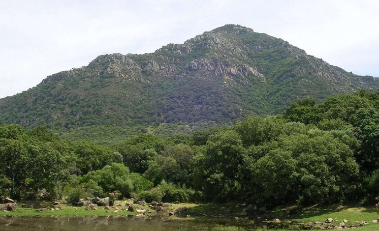 A pesar de la sequía y el cambio climático, Andalucía es hoy más verde que en los años 90. No es tan positivo como parece
– El diario andino