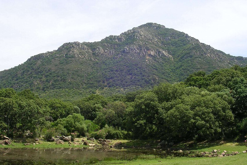 A pesar de la sequía y el cambio climático, Andalucía es hoy más verde que en los años 90. No es tan positivo como parece

 – El diario andino