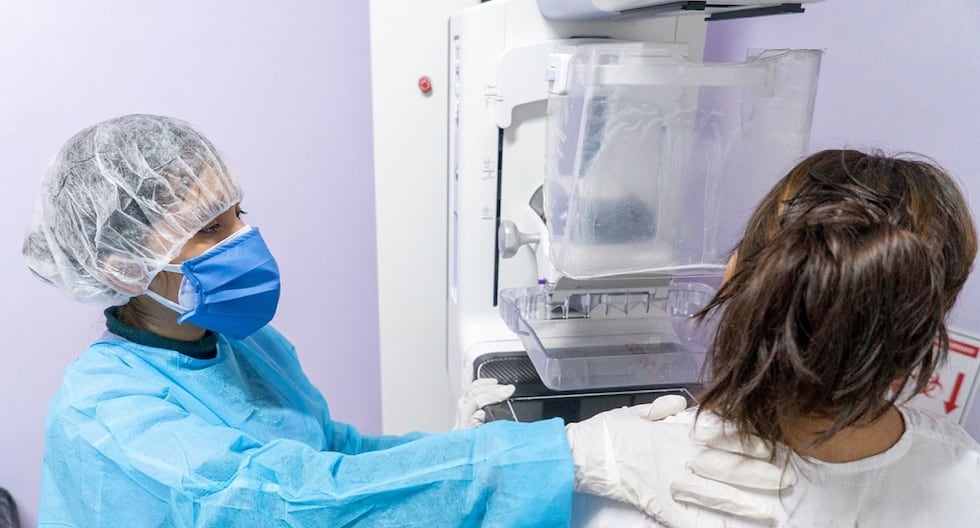 El Congreso aprueba la ley que protege los derechos laborales de las personas diagnosticadas con cáncer | Último | ECONOMÍA

 – El diario andino