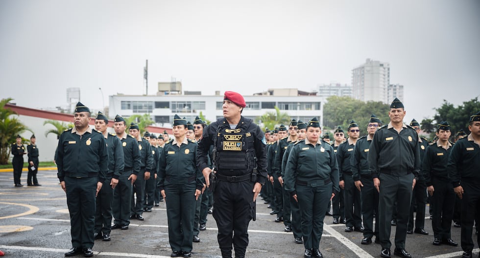Servicio real y coraje Las historias policiales serán reconocidas en todo el Perú | PERÚ

 – El diario andino