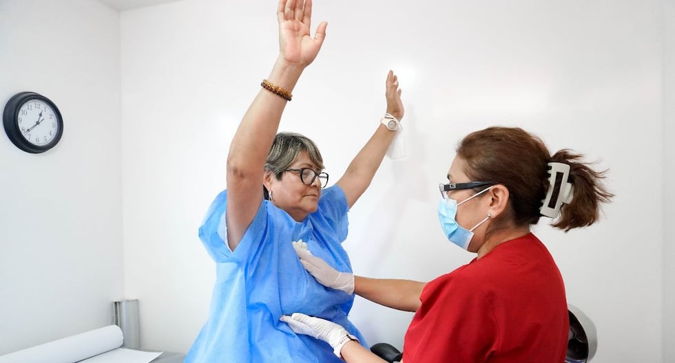 Las asociaciones de pacientes con cáncer critican la falta de medidas concretas por parte del gobierno | PERÚ

 – El diario andino