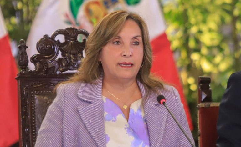 El gobierno priorizará la lucha contra la minería ilegal después de los acuerdos del Consejo de Seguridad Ciudadanos | Dina Boluarte | Último | Citación
– El diario andino
