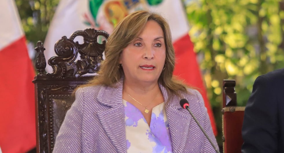 El gobierno priorizará la lucha contra la minería ilegal después de los acuerdos del Consejo de Seguridad Ciudadanos | Dina Boluarte | Último | Citación

 – El diario andino
