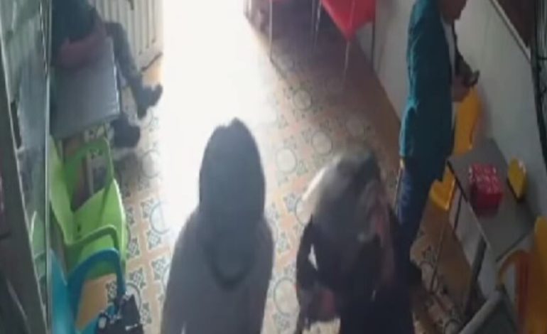 PUTO: Asalto de la Policía de Brusttera armado en el almacén y disminuyó uno de los delincuentes | Último | PERÚ

 – El diario andino