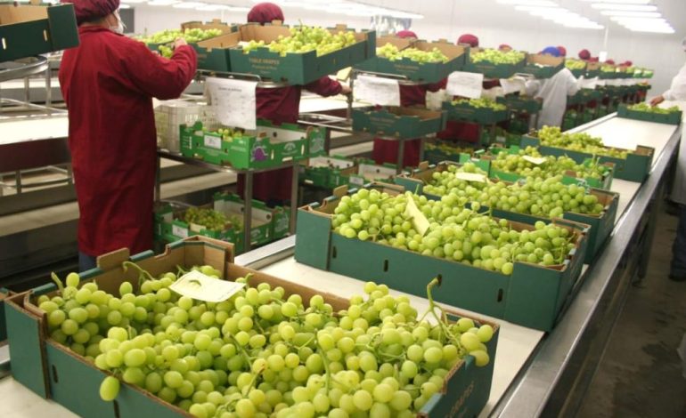 Un empleo formal hacia adelante en regiones cruza esa hoja
– El diario andino