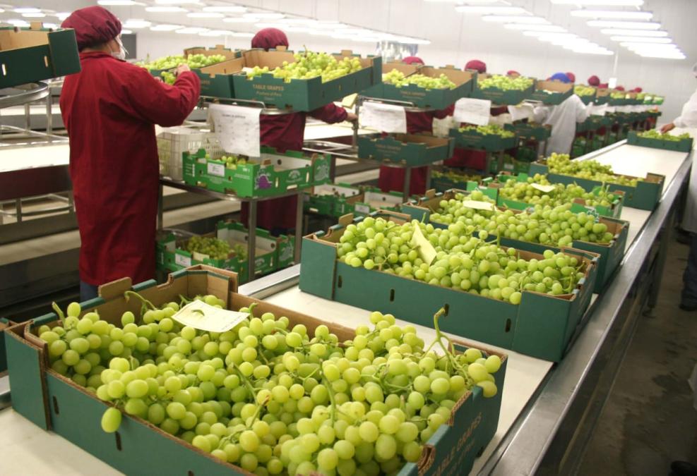 Un empleo formal hacia adelante en regiones cruza esa hoja

 – El diario andino