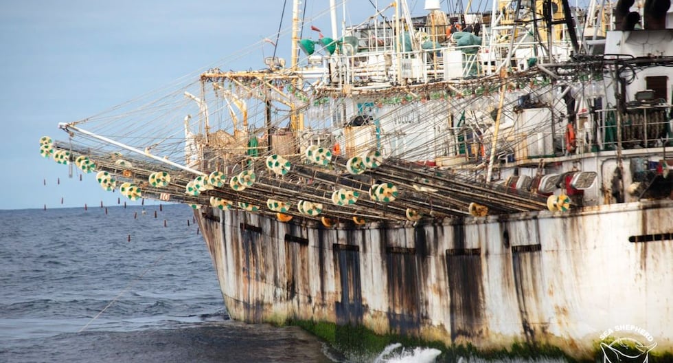 Instan al estado a estar alerta a la presencia de 250 barcos chinos cerca de los límites del mar peruano | PERÚ

 – El diario andino