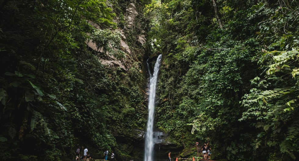 Viaje de la costa a Selva: ¿Sabes qué paradas no puedes perderte en la ruta a Tarapoto? | PERÚ

 – El diario andino