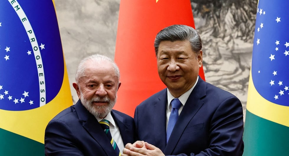 Xi Jinping le dice a Lula da Silva que China y Brasil pueden dar un ejemplo de «autosuficiencia» en el sur global | Último | MUNDO

 – El diario andino