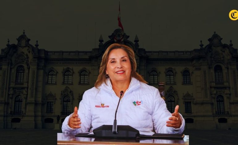 ¿Protección necesaria o retroceso?: Constitucionalistas opinan sobre fallo del TC que suspende investigaciones a Dina Boluarte | POLITICA – El diario andino