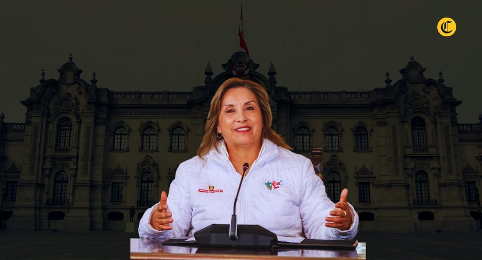 ¿Protección necesaria o retroceso?: Constitucionalistas opinan sobre fallo del TC que suspende investigaciones a Dina Boluarte | POLITICA – El diario andino