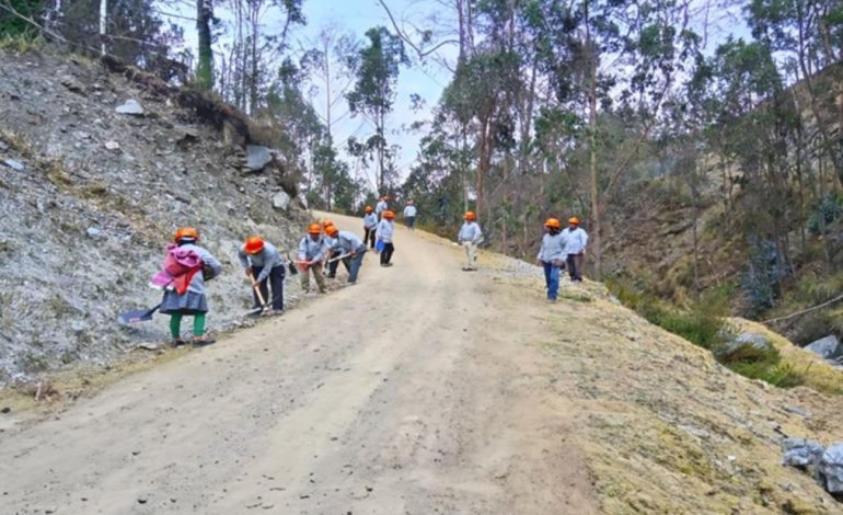 Ocho regiones gastaron menos del 40% del presupuesto del proyecto
– El diario andino