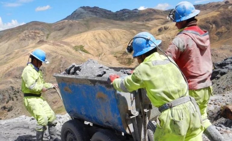Solo el 4% de los mineros apelaron a la exclusión de Reinfus, lo más destacado
– El diario andino