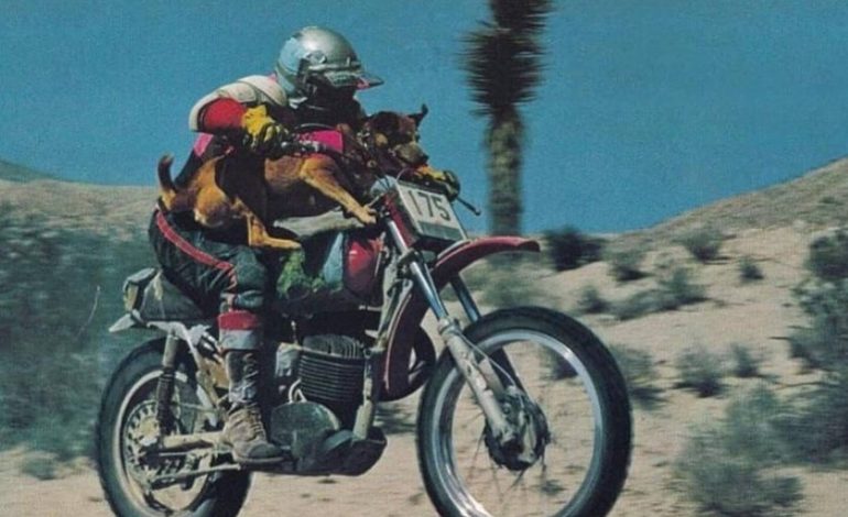 Hace 50 años, un hombre ganó el ‘Dakar de EE. UU.’ Con un co -piloto inusual: su perro
– El diario andino