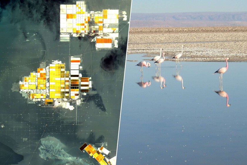 Cómo el desierto de Atacama muestra el precio ecológico de la descarbonización

 – El diario andino