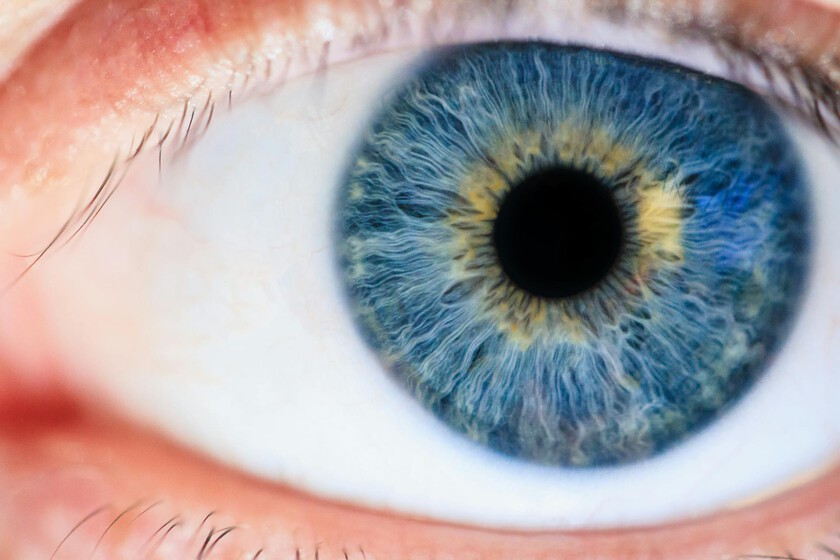 No hay nada para hacer azul en los ojos azules. Si queremos entender por qué, tenemos que recurrir a la física

 – El diario andino