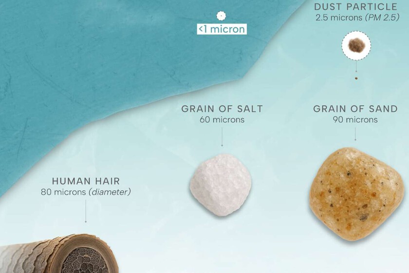 El verdadero tamaño de los microplásticos que pueblan nuestra vida, expuesto en este inquietante gráfico

 – El diario andino
