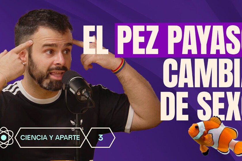 Placer, homosexualidad y ETS en el reino animal. Un especialista desmantela los mitos sobre cómo funciona el sexo fuera de nuestra especie

 – El diario andino