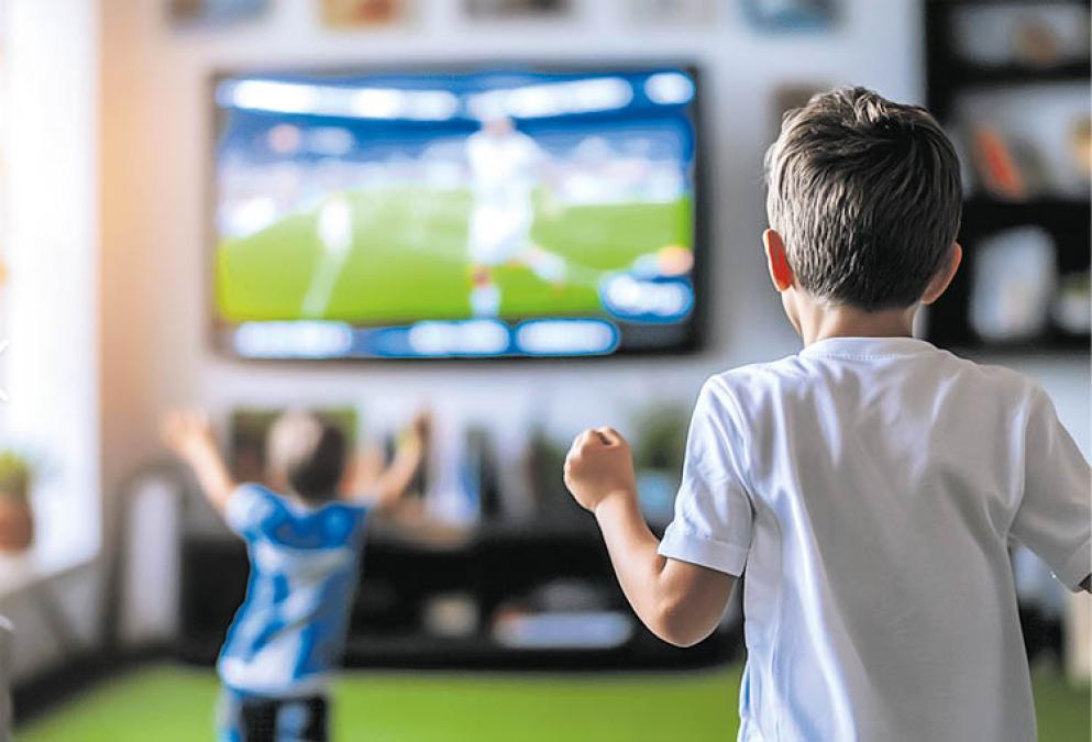 Ver antes de jugar

 – El diario andino