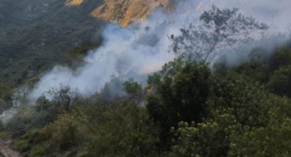 Cusco: FUEGO Barra Pacaymayo Low Zone dentro del Parque Machu Picchu | Fuego forestal | Último | PERÚ

 – El diario andino