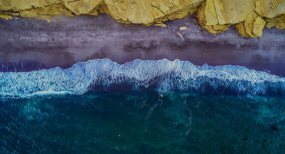 La Reserva Nacional de Paracas cumple 50 años: un refugio de la naturaleza en medio del desierto peruano | ICA | Turismo | Mincotur | Dina Boluarte | tlcaudio | Ecdata

 – El diario andino