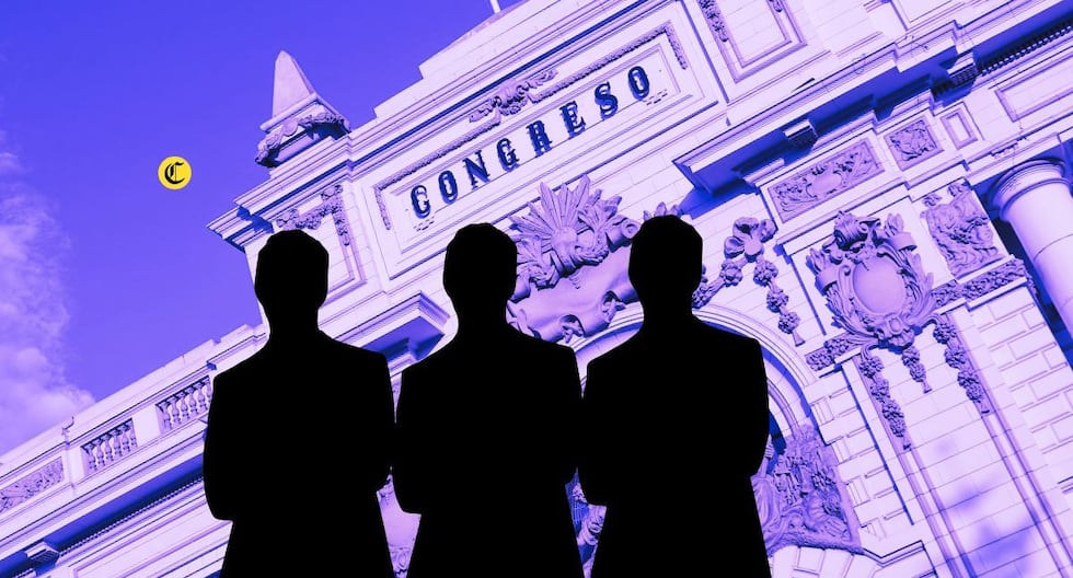 Congreso: ¿Quiénes son los parlamentarios que se benefician de la norma que apela a su neutralidad en los representantes? | Citación

 – El diario andino