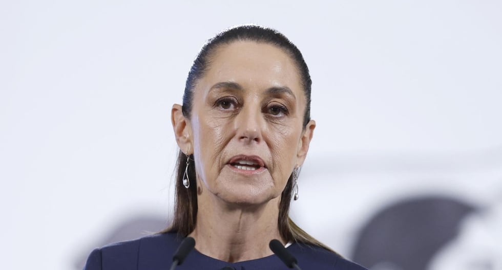 Congreso: la Comisión de Asuntos Exteriores acuerda declarar a una persona agradable para el presidente mexicano | Claudia Sheinbaum | Último | Citación

 – El diario andino