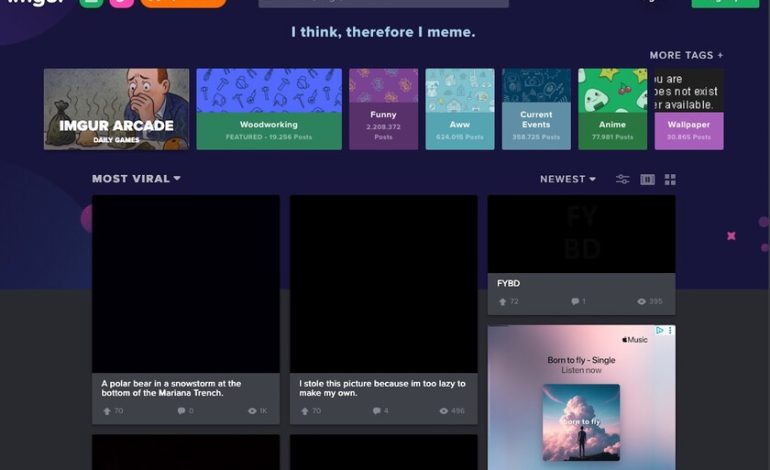 La desafortunada caída de Imgur
– El diario andino