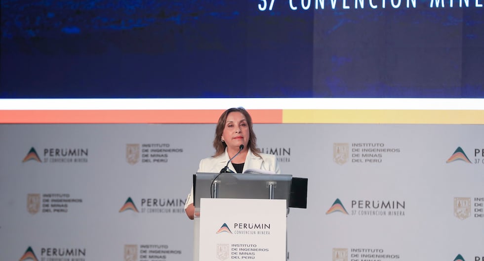Dina Boluarte afirma que su gobierno «no está de acuerdo» con la minería ilegal: la lucha inteligente y aguda | Perumino 37 | Arequipa | Último | Citación

 – El diario andino