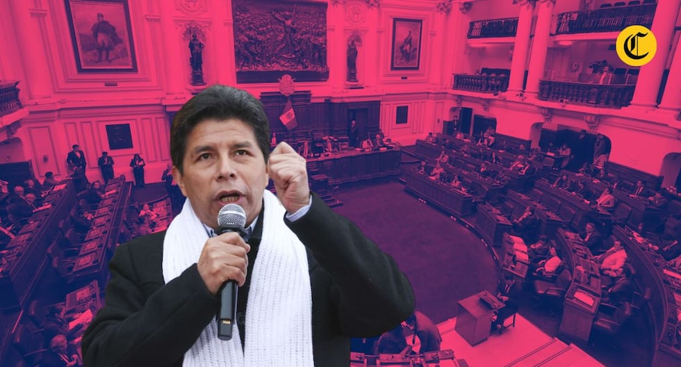 Martha Moyano quiere ser una representante del golpe: ¿es el proceso del parlamento que busca apagar a Pedro Castillo? | Citación

 – El diario andino