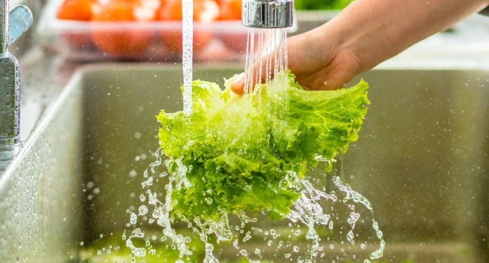 Cinco consejos prácticos para mejorar la seguridad alimentaria en la cocina | PERÚ

 – El diario andino