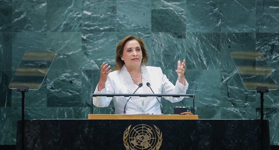 Dina Boluarte para la ONU: “FF.A. están acusadas de violar los derechos humanos pero los terroristas [pasan a ser] Víctimas «|

 – El diario andino