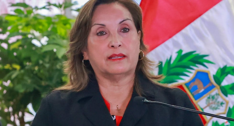 Dina Boluarte: Comisión fija Congreso Archiva Constitucional Queja por las muertes en protesta | Último | Citación

 – El diario andino