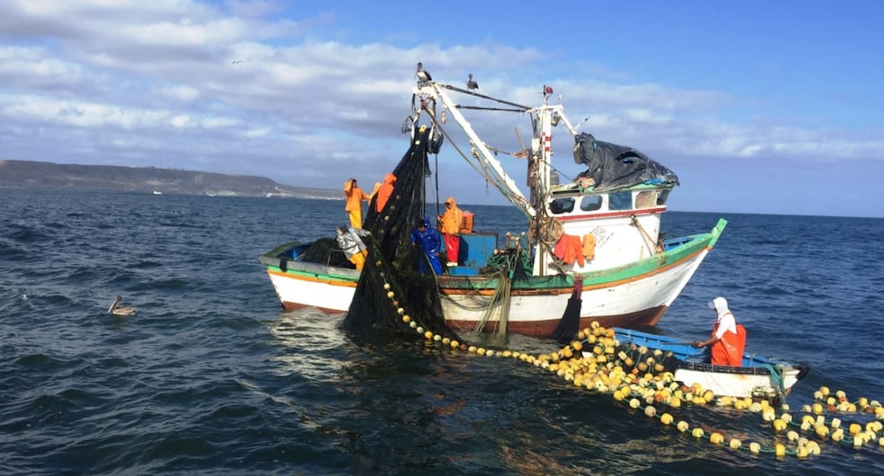 El Congreso propone un ‘reimfo’ para la pesca artesanal: ¿por qué el proyecto de ley es rechazado de todos los sectores de la industria marina? | Pesca hecha a mano | Mar peruano | Siforpa | Reimfo | PERÚ

 – El diario andino