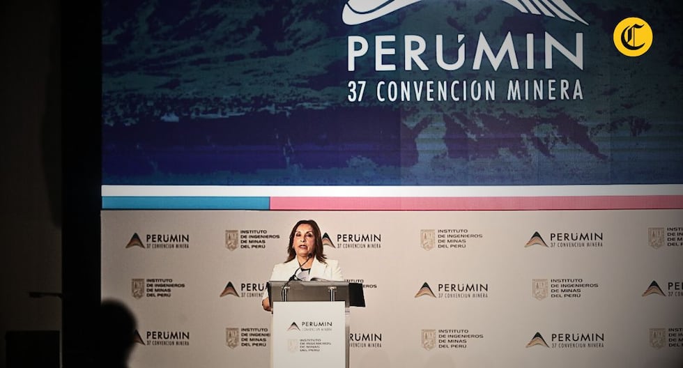 Dina Boluarte confirma que la minería para la minería para la minería alcanzó su punto máximo en diciembre: el estado de la comisión y todo lo que viene en el Parlamento | Citación

 – El diario andino