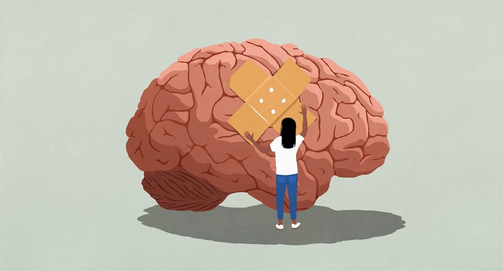 El estado invierte 20 suelas al año en cada peruano en salud mental | Minsa | Dina Boluarte | Presupuesto | CAL

 – El diario andino