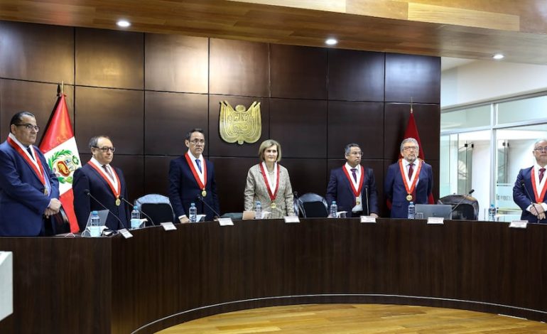 El Tribunal Constitucional requiere que se realicen solicitudes de información y pruebas contra el Presidente hasta dos veces | Dina Boluarte | Último | Citación

 – El diario andino