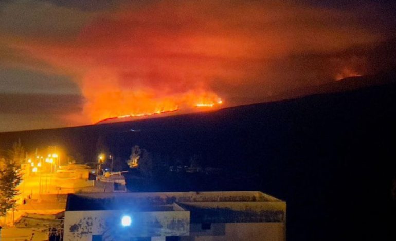Arequipa: el fuego forestal en faldas del volcán Misti afecta a más de 40 hectáreas de área natural | Último | PERÚ

 – El diario andino