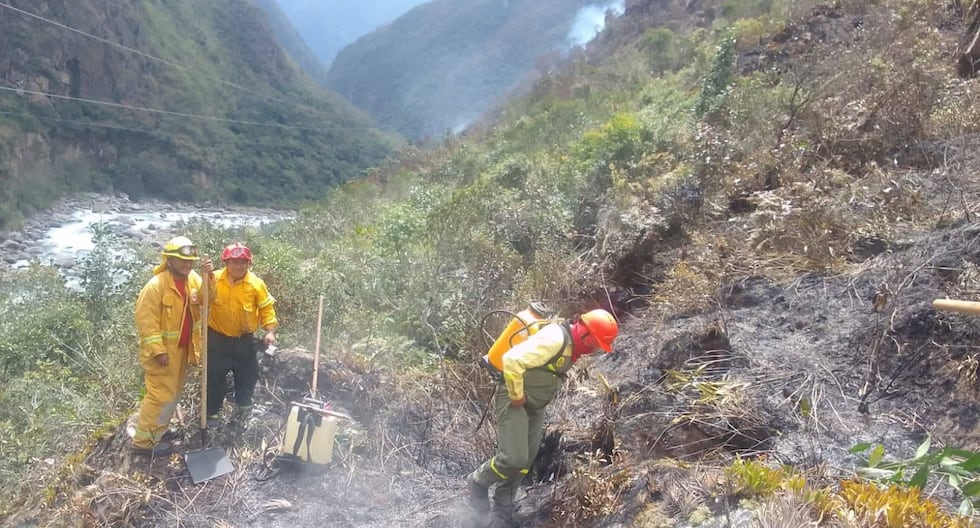 Forest Fire en Machu Picchu fue controlado después de dos días de arduo trabajo de brigadas | Último | PERÚ

 – El diario andino