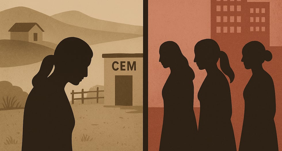 PNP | Cem | MIMM | Figura oculta de violencia contra las mujeres en Perú | Femicidas | Ministerio de la Mujer | Dina Boluarte | Sheylla Gutiérrez | Ecdata

 – El diario andino