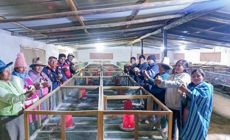 Midagri: el proyecto «Andes Resilient» fortalece la agricultura familiar y la seguridad del agua en ocho regiones del país | Último | PERÚ

 – El diario andino